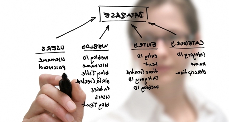 Desarrollo de software guadalajara