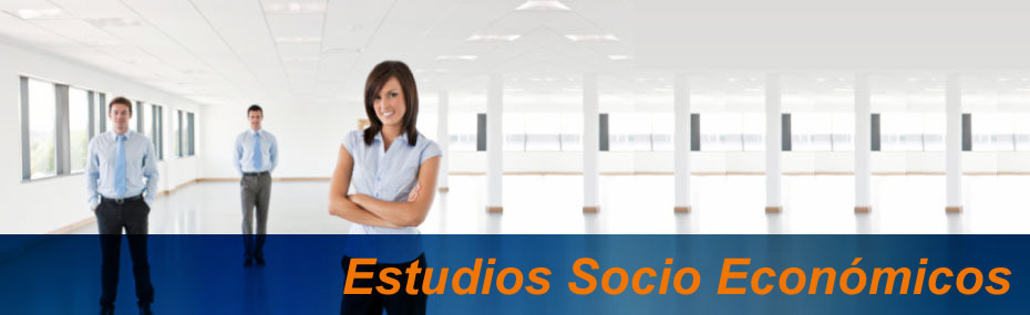Estudios Socio Econ&oacute;micos